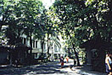 MANILA